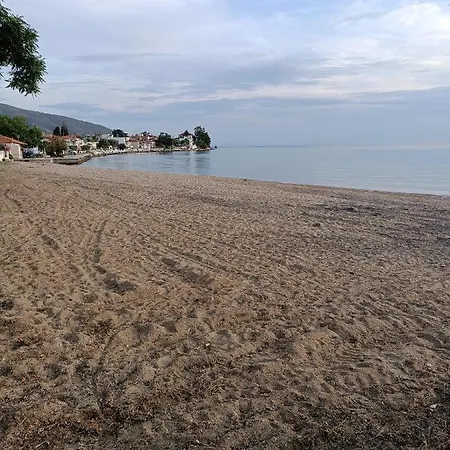 Sunday House アパート