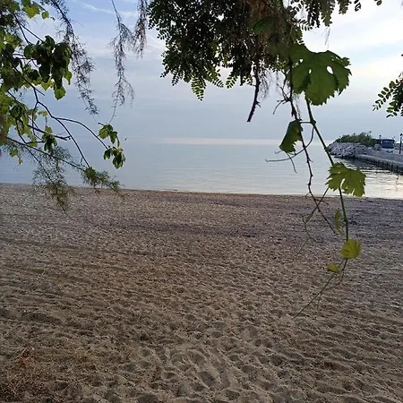 アパート Sunday House *