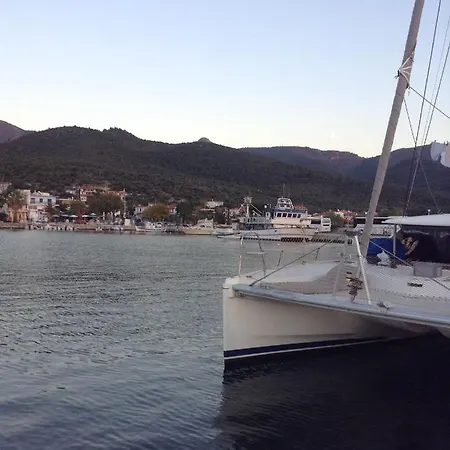 Apartment Sunday House