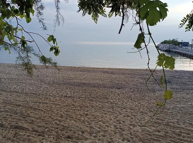 Daire Sunday House *